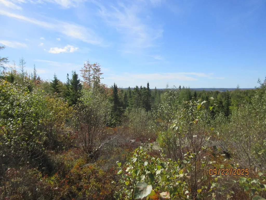 Lot #7 Highland Road Addison ME 04606