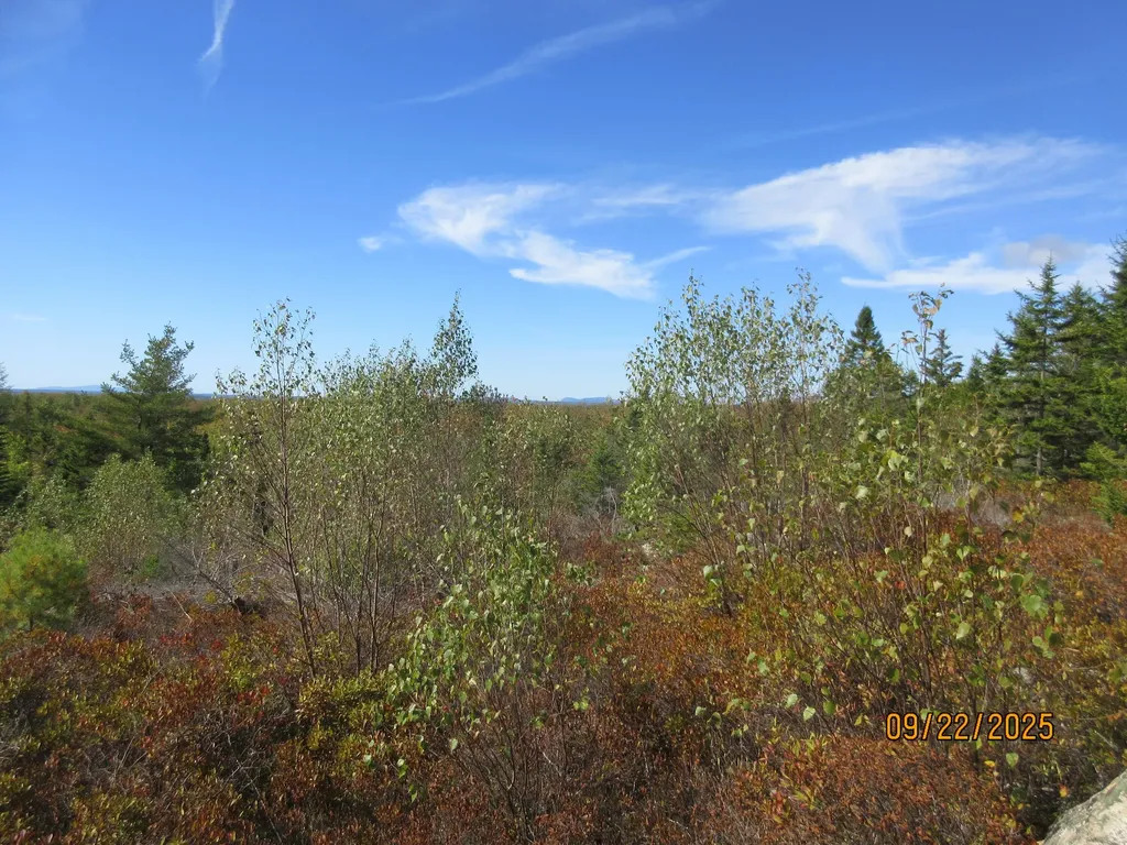 Lot #7 Highland Road Addison ME 04606