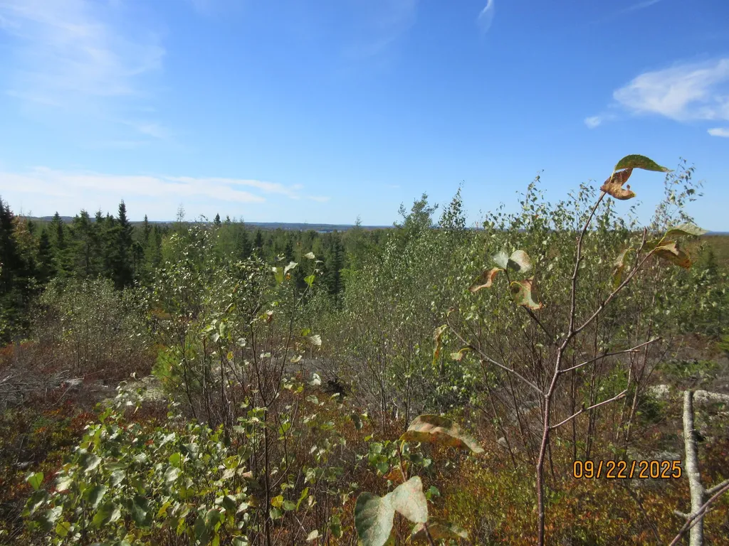 Lot #7 Highland Road Addison ME 04606