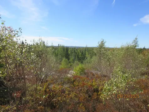 Lot #7 Highland Road Addison ME 04606