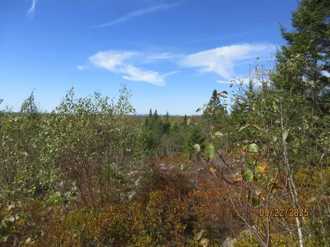 Lot #7 Highland Road Addison ME 04606