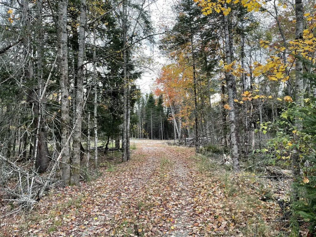 3306 Mariaville Road Mariaville ME 04605