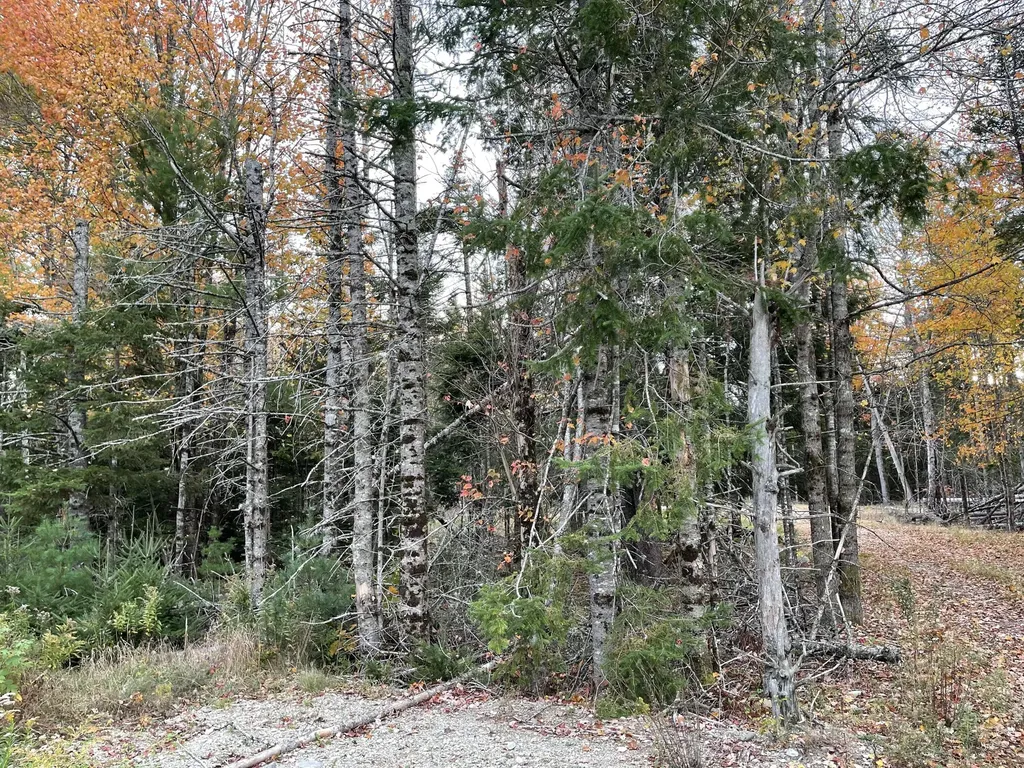 3306 Mariaville Road Mariaville ME 04605