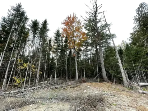 3306 Mariaville Road Mariaville ME 04605