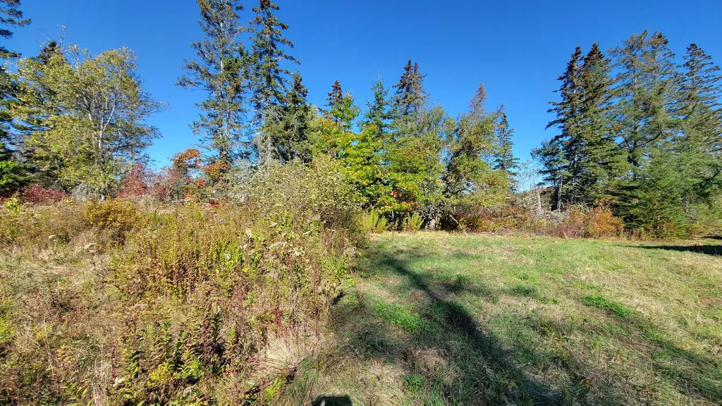 173 Leighton Point Road Pembroke ME 04666