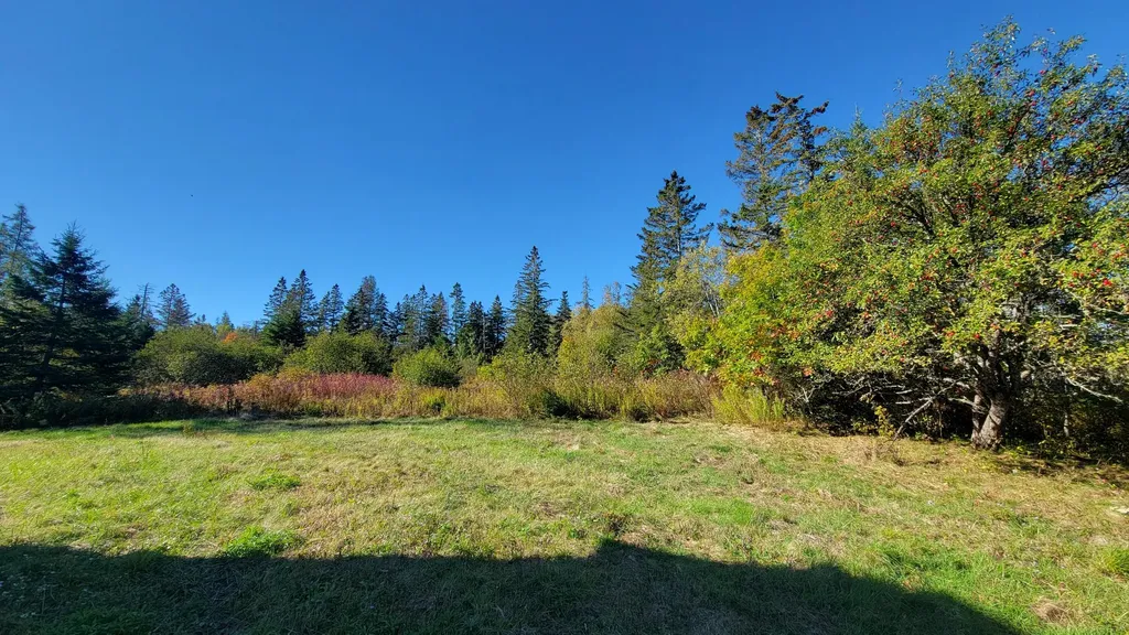 173 Leighton Point Road Pembroke ME 04666