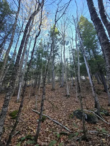 L49,50,53 Back Road Abbot ME 04406