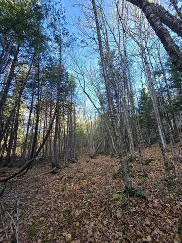 L49,50,53 Back Road Abbot ME 04406