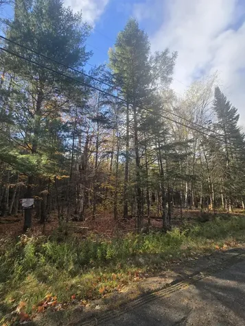 L49,50,53 Back Road Abbot ME 04406