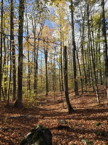 L49,50,53 Back Road Abbot ME 04406