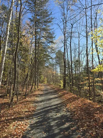 L49,50,53 Back Road Abbot ME 04406