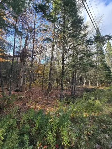 L49,50,53 Back Road Abbot ME 04406