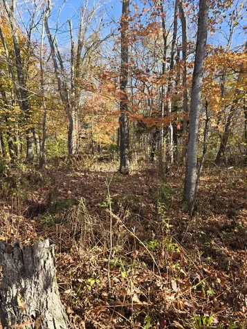 L49,50,53 Back Road Abbot ME 04406
