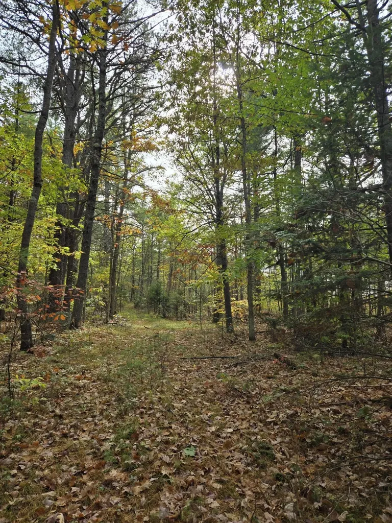 133 Plantation Lane Brownfield ME 04010