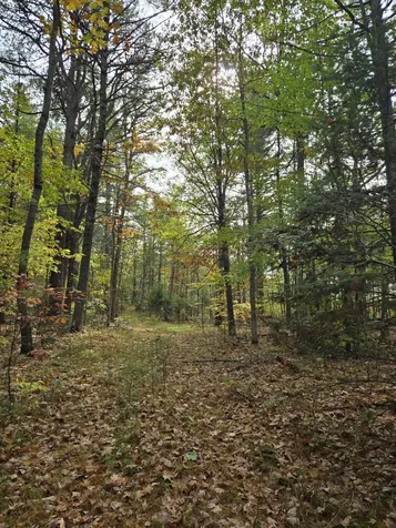 133 Plantation Lane Brownfield ME 04010