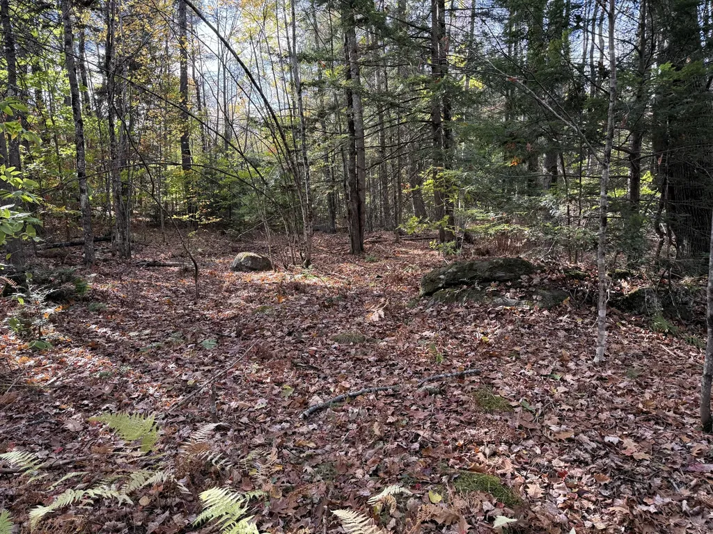 Tbd Green Acres Hollis ME 04042