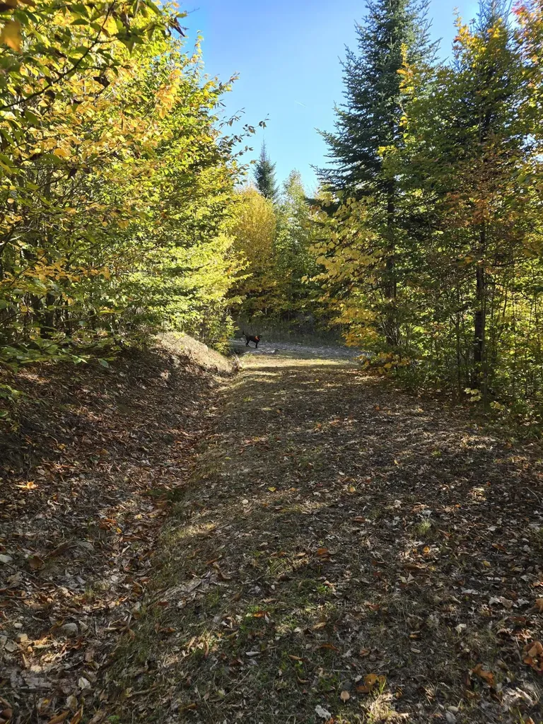 Lot 25-6w Bates Ridge Road Linneus ME 04730