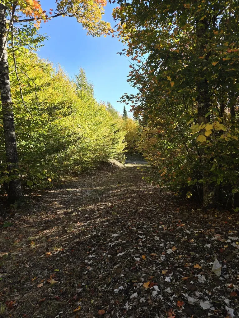 Lot 25-6w Bates Ridge Road Linneus ME 04730