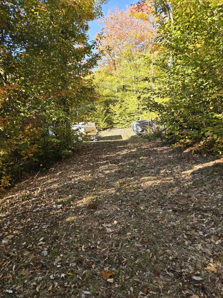 Lot 25-6w Bates Ridge Road Linneus ME 04730