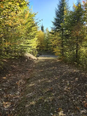 Lot 25-6w Bates Ridge Road Linneus ME 04730