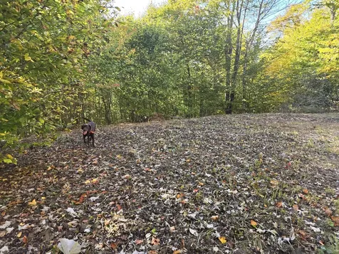 Lot 25-6w Bates Ridge Road Linneus ME 04730