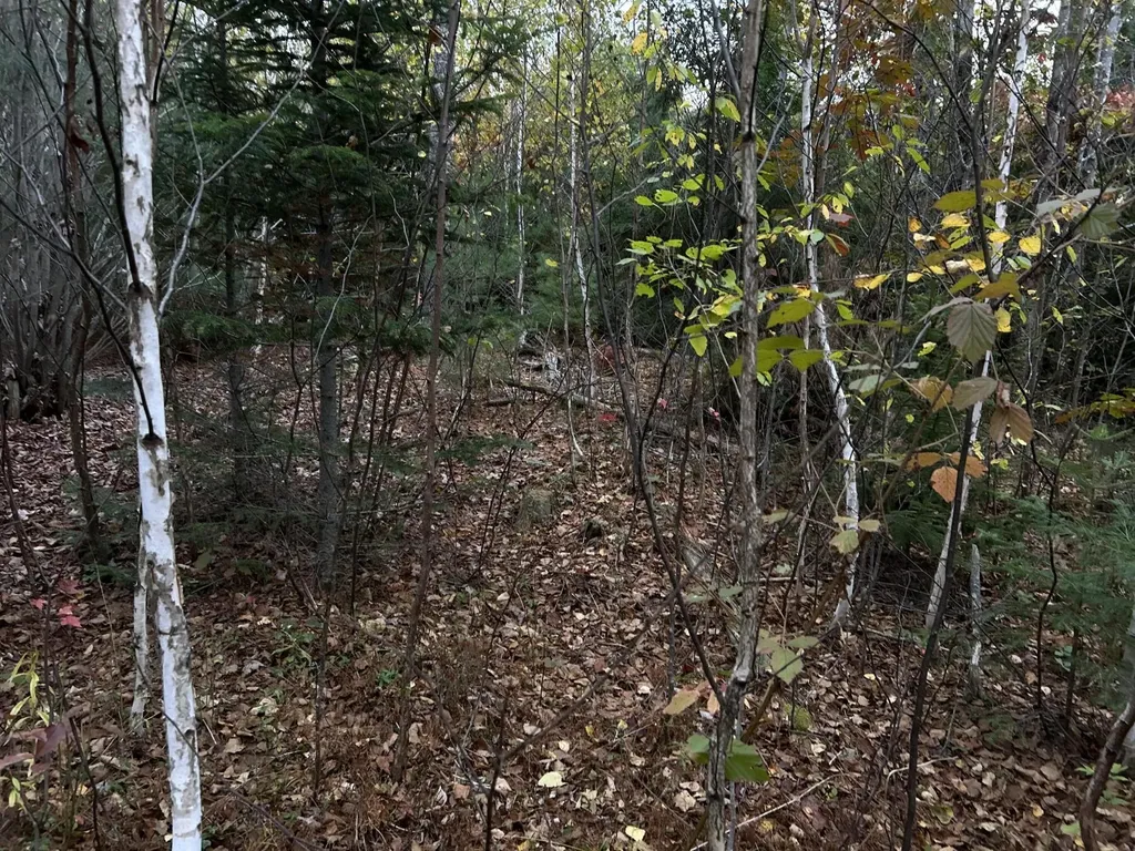 401 Genthner Road Waldoboro ME 04572