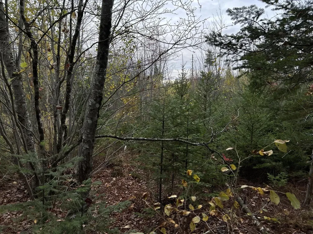 401 Genthner Road Waldoboro ME 04572