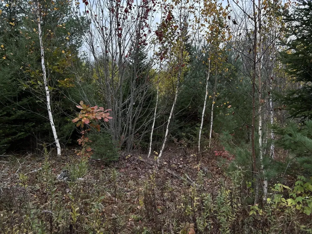 401 Genthner Road Waldoboro ME 04572