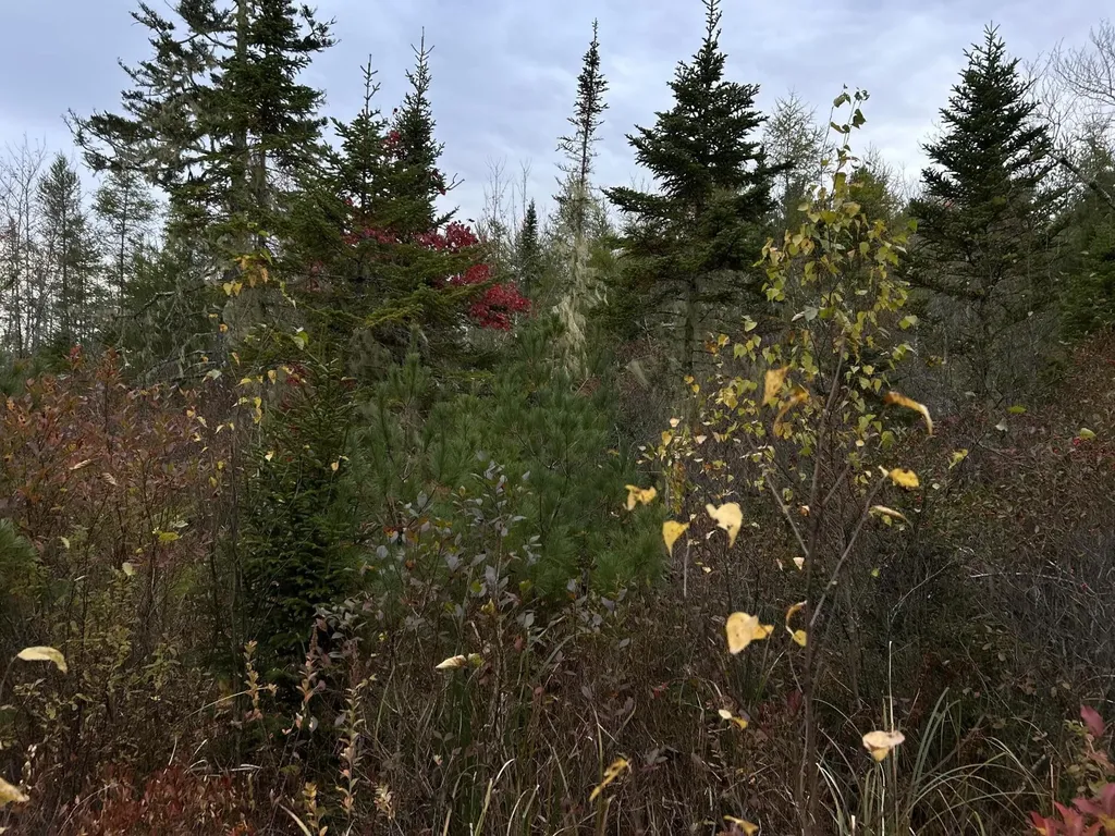 401 Genthner Road Waldoboro ME 04572