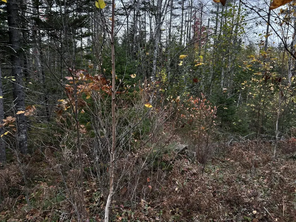 401 Genthner Road Waldoboro ME 04572