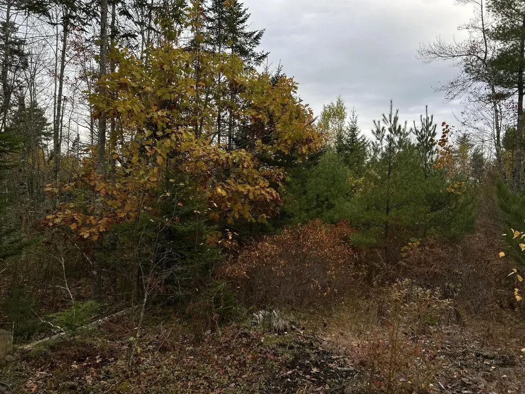 401 Genthner Road Waldoboro ME 04572