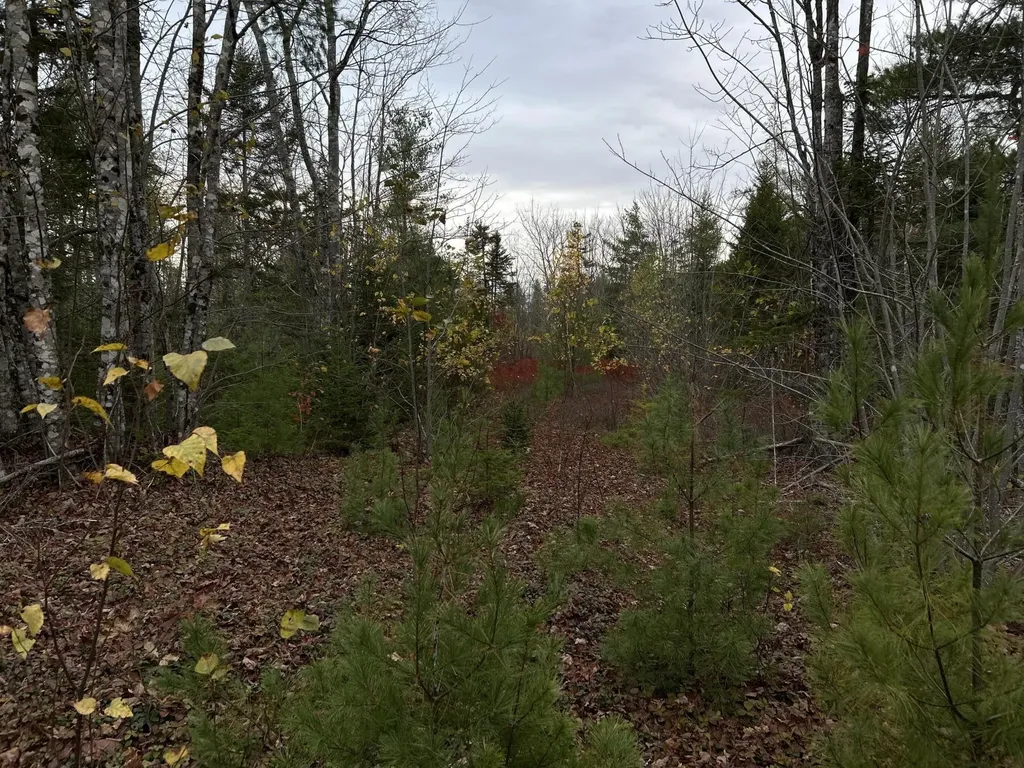 401 Genthner Road Waldoboro ME 04572