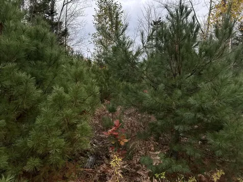 401 Genthner Road Waldoboro ME 04572