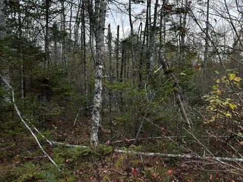 401 Genthner Road Waldoboro ME 04572