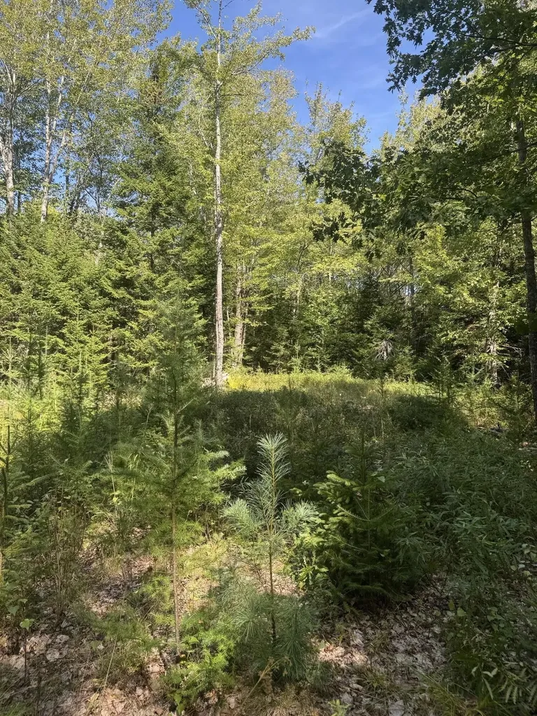 1730 Main Street Harrington ME 04643