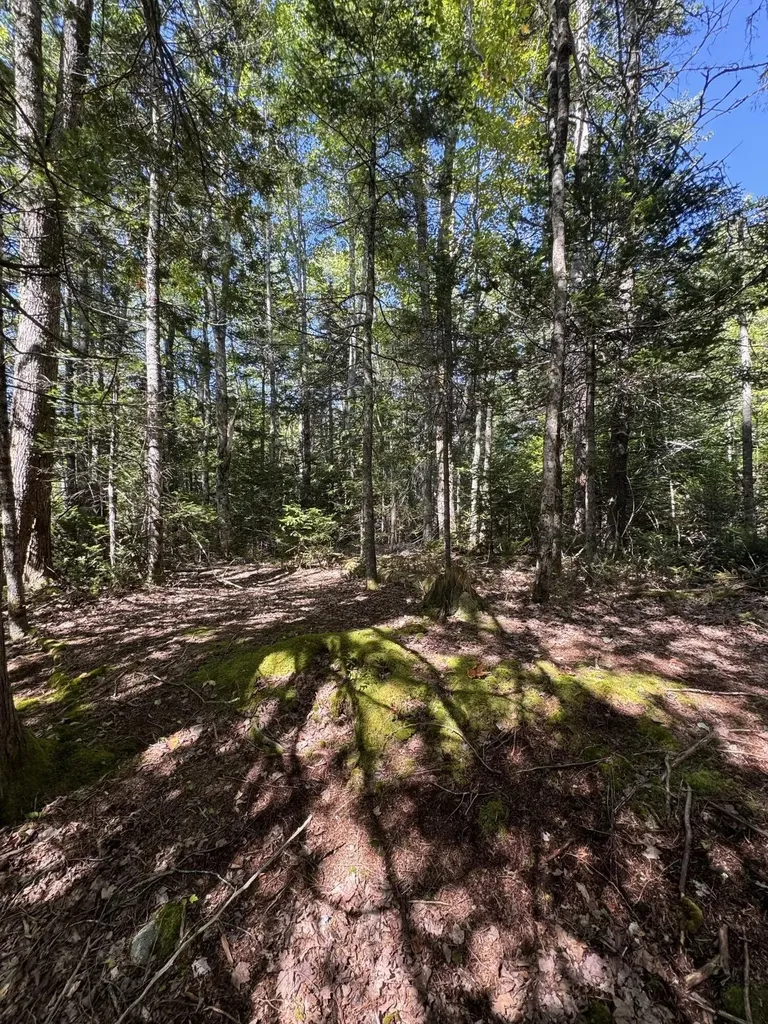 1730 Main Street Harrington ME 04643
