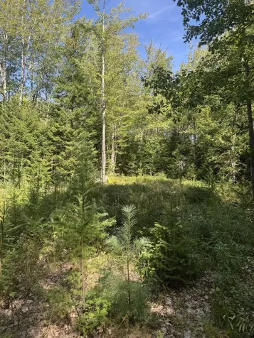1730 Main Street Harrington ME 04643