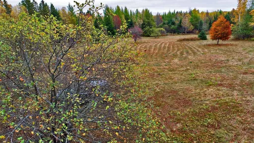 479 Harris Hill Road Weston ME 04424