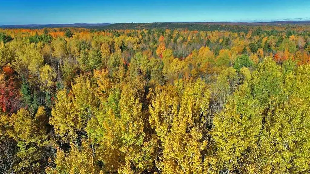 479 Harris Hill Road Weston ME 04424