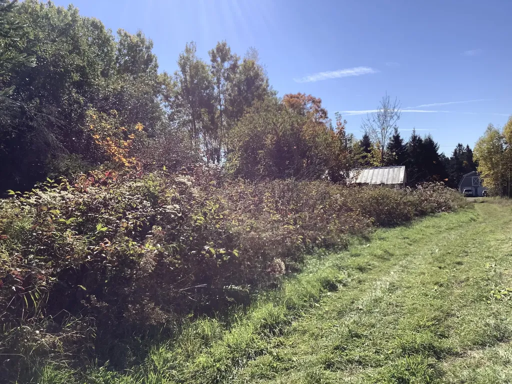 234 Ladner Road Easton ME 04740