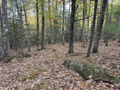 63-3 Oak Grove Road Mount Desert ME 04660