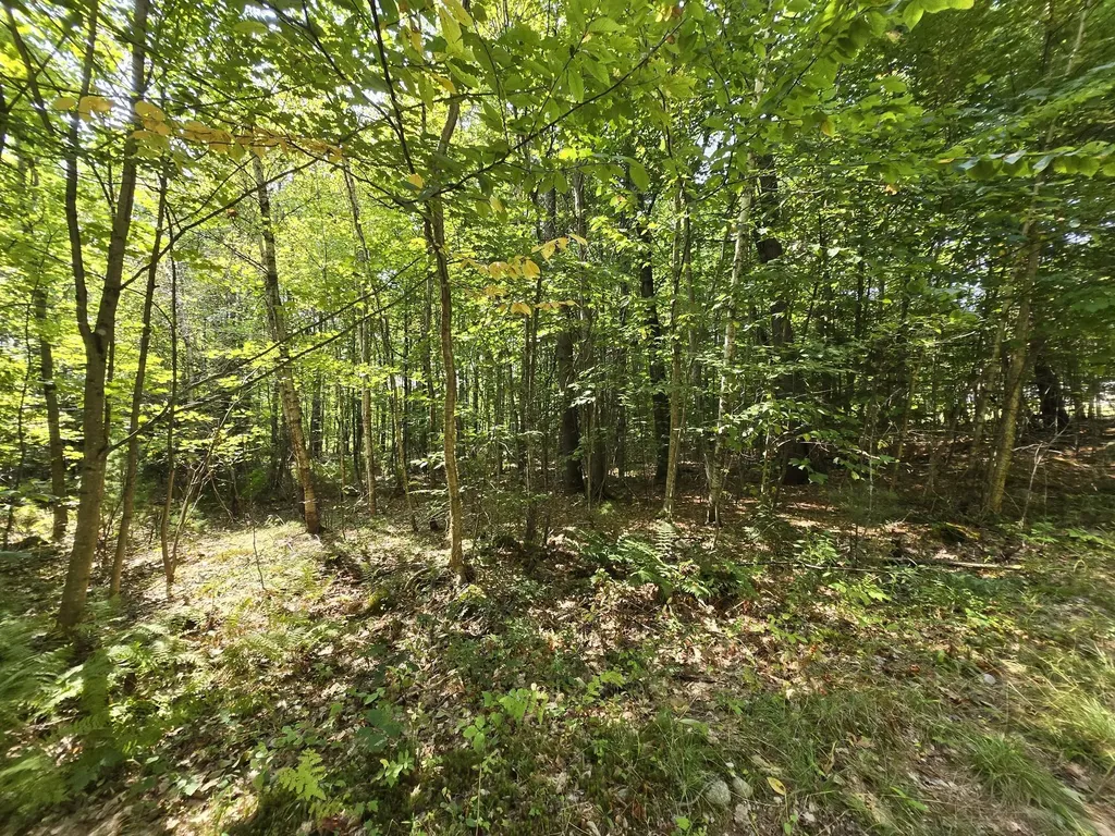 181 Wyman Hill Road Rumford ME 04276