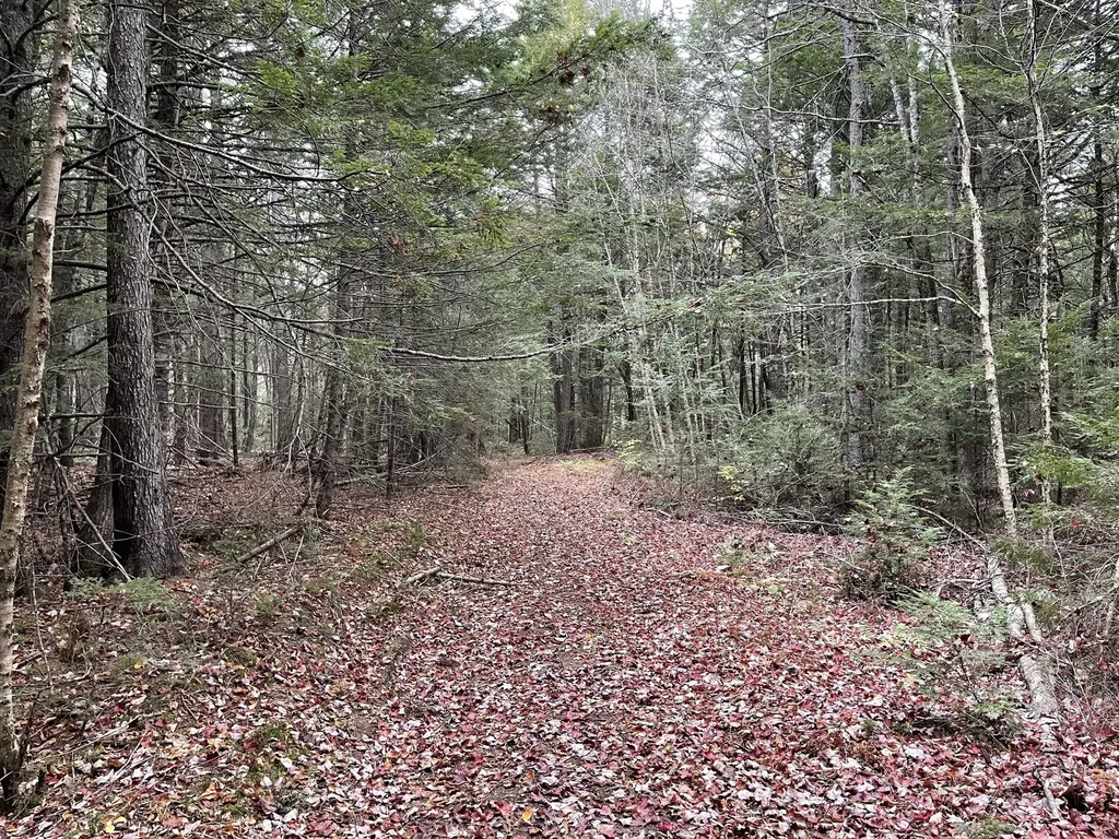 Lot 3-b West Branch Road Mariaville ME 04605