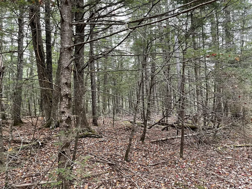 Lot 3-b West Branch Road Mariaville ME 04605