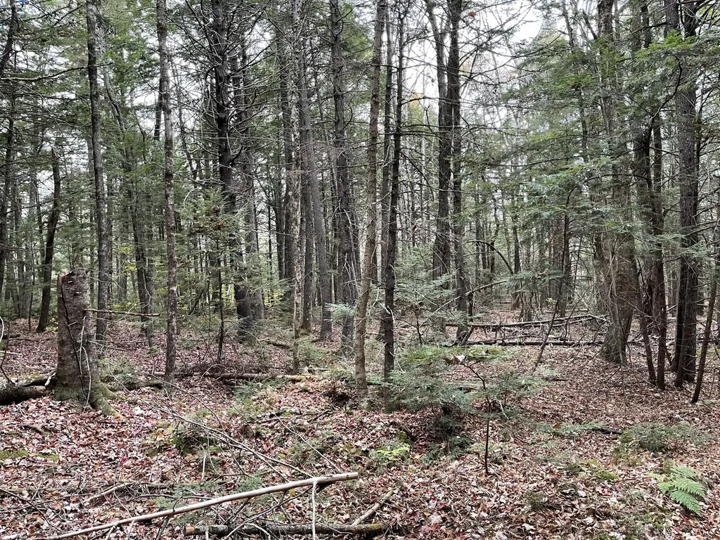 Lot 3-b West Branch Road Mariaville ME 04605