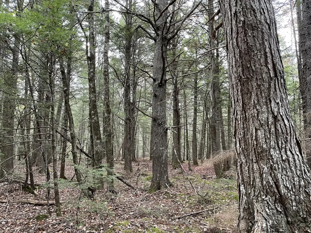Lot 3-b West Branch Road Mariaville ME 04605