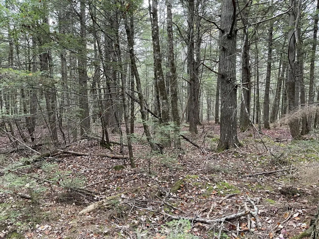 Lot 3-b West Branch Road Mariaville ME 04605