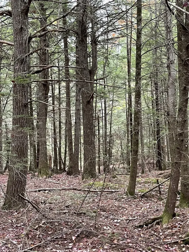 Lot 3-b West Branch Road Mariaville ME 04605