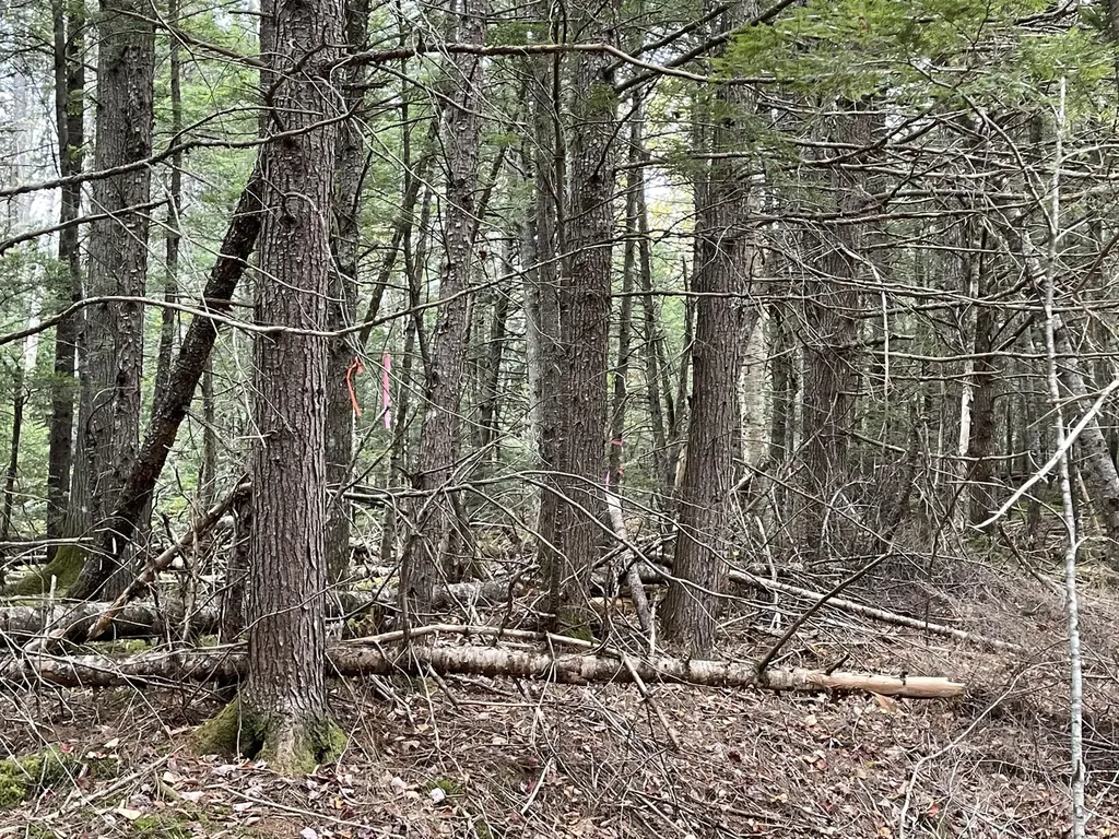 Lot 3-b West Branch Road Mariaville ME 04605