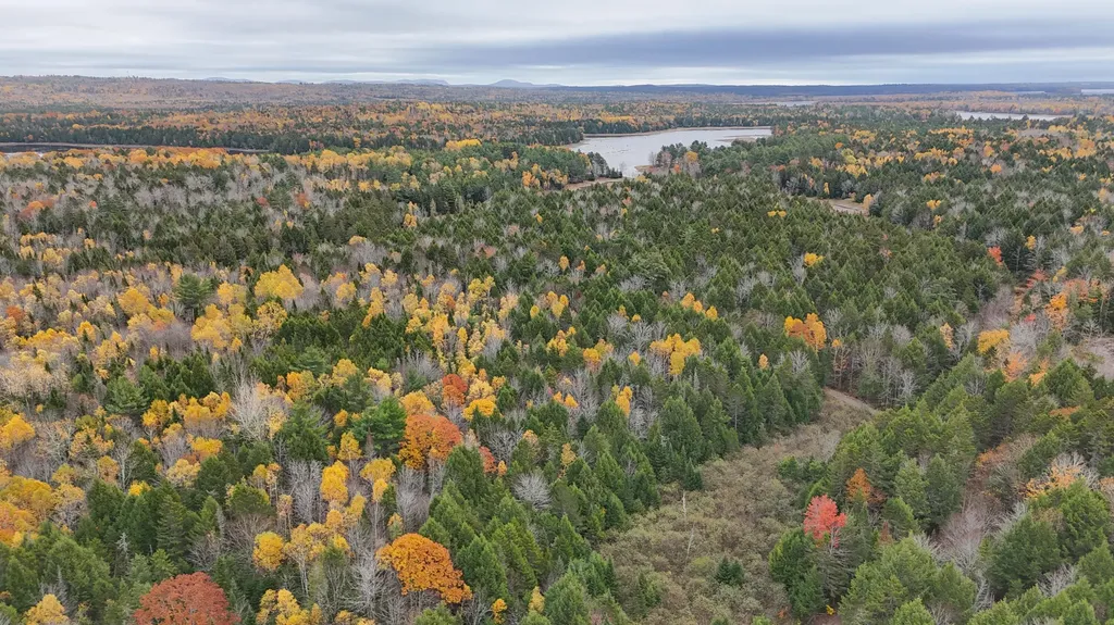 Lot 3-b West Branch Road Mariaville ME 04605